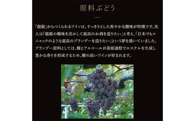 ソラリス ブランデー 龍眼 1989 700ml×1本 マンズワイン ご当地 取り寄せ お酒 アルコール 長野県 小諸市