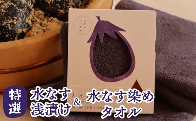 020C568 水なす浅漬け5個と水なす染め泉州タオルセット【新鮮 野菜 泉佐野産 茄子 やさい 高評価 数量限定】