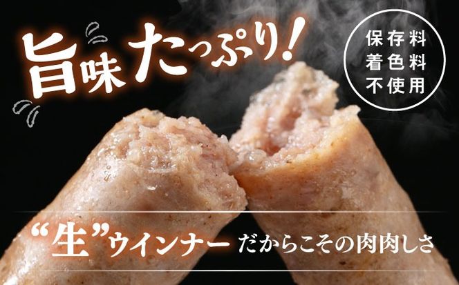 【全6回定期便】生 ウインナー 90本 約2kg (6種×15本) 糸島市 / 志摩スモークハウス / 生ウィンナー 詰め合わせ[AOA054]