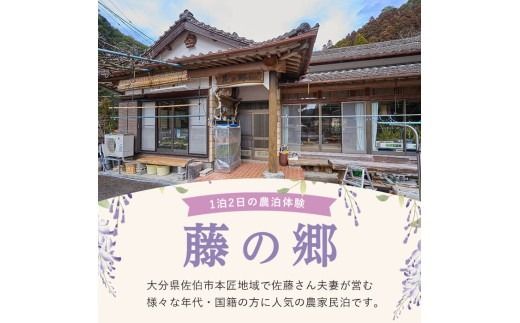 y啪sz_̌E̋ yA12H(yA`Pbg) ̌ ȟ `Pbg  h _ Ht 啪 syHD240zy{ 鉺z