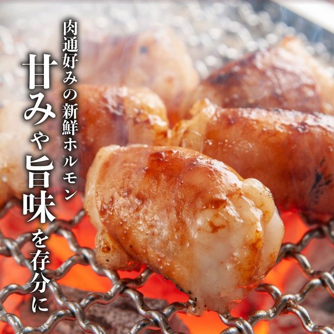 黒毛和牛！大人気のもつ（ホルモン）セット　K002-006