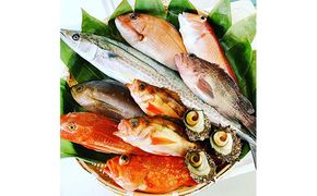 京都府宮津市産『朝どれ！山一鮮魚おおきに便』約4～5kg 魚介類 セット 産地直送 鮮魚 内臓処理加 鮮度抜群 冷蔵 詰め合わせ 旬 鯛 