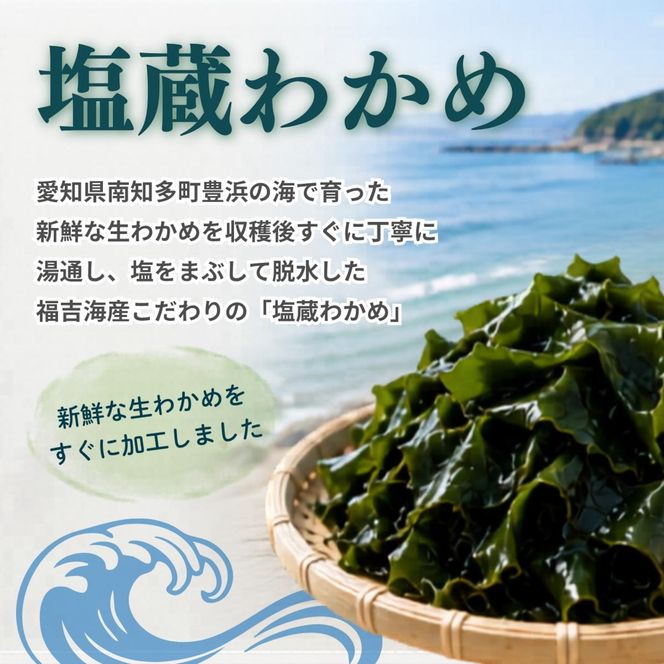 【2027年先行予約3月発送】 塩蔵わかめ 計1kg 13袋 1袋80g チャック袋入 お味噌汁 和物 ごはん 丼 サラダ 海藻 料理 愛知県 南知多町 ワカメ わかめ 海藻類 おすすめ おいしいワカメ お米 に合う 米 に合う コメ に合う 水産 海の恵 塩蔵ワカメ 酢の物 水産加工 おこめ に合う 味噌汁 知多半島 大人気 南知多産わかめ 愛知県産ワカメ 南知多 南知多のわかめ 人気わかめ