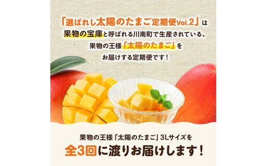 【3ヶ月定期便】選ばれし太陽のたまご定期便Vol.2【 川南町産 くだもの マンゴー 】[C11709t3]