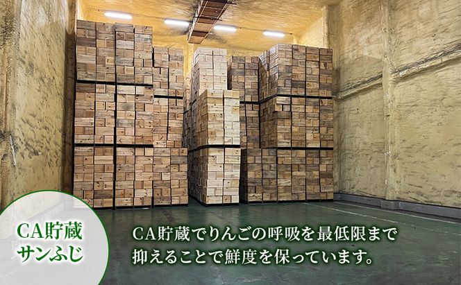 【5月 クール便配送】雪国鮮度をと閉じ込めた りんご 【平均糖度13度以上】CA貯蔵 訳あり サンふじ 約5kg リンゴ 果物 青森県 鶴田町