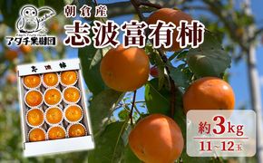 柿 志波 富有柿 約3kg 11～12玉 果物類 かき 