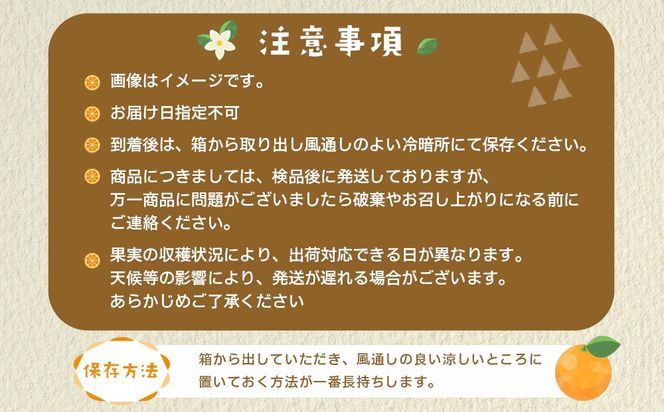 産地直送 贈答用 有田みかん Mサイズ 約10kg 喜楽farms 【2025年11月以降順次発送】AL06 