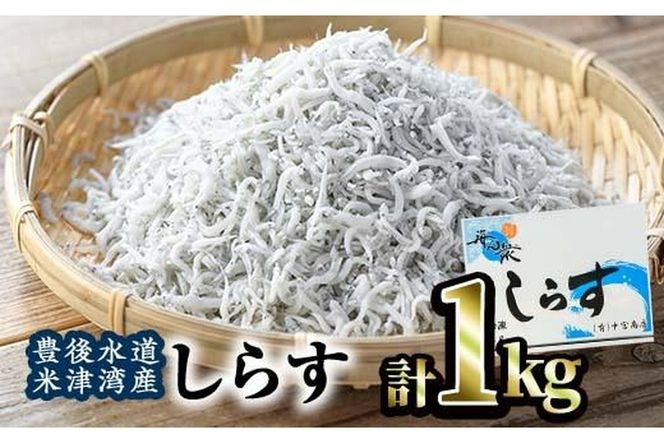 豊後水道 米水津産 しらす (計1kg・500g×2P) 魚 小魚 魚介類 シラス おつまみ カルシウム 大分県 佐伯市 【FA01】【(有)中宮商店】