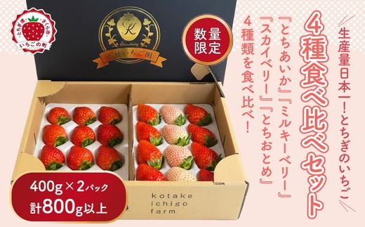 大満足4種食べ比べセット（とちおとめ、ミルキーベリー、とちあいか、スカイベリー）400g×2パック 800g｜先行予約 数量限定 ※2026年2月上旬～4月中旬頃に順次発送予定