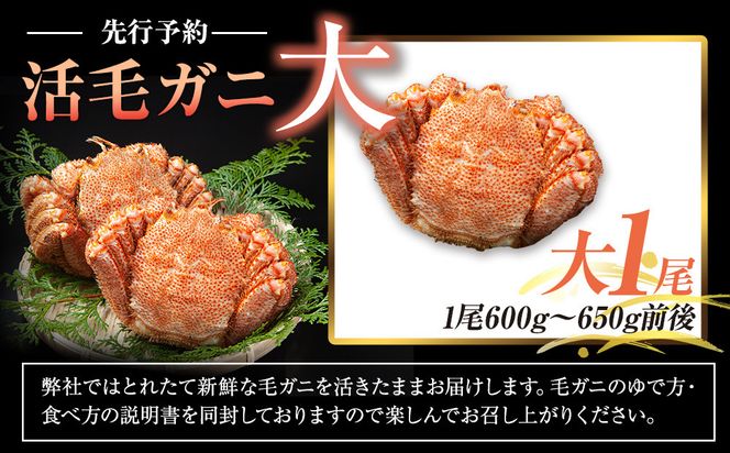  【先行予約/2026年4月発送開始】活毛ガニ　大１尾（600g～650g前後） 016942_AH266