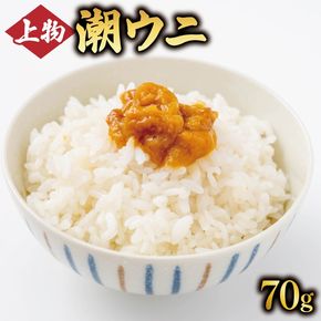 上物 潮ウニ 70g 冷凍 ミョウバン不使用 雲丹 寿司 汐うに 塩うに 海鮮 魚貝類 魚介類 キタムラサキウニ 小分け 塩水 天然 刺身 ウニ丼 ご飯 白米 おつまみ 三陸産 岩手県 大船渡市 [kakehata009]