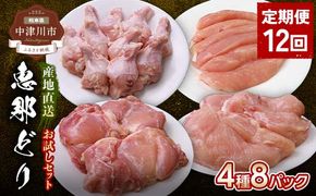 【定期便・12回】産地直送！恵那どり お試し4種8パックセット 小分け 真空パック 大容量 セット 鶏肉 F4N-2470
