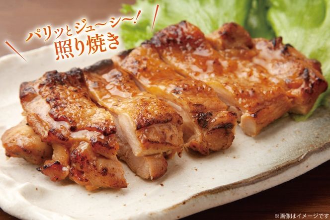 鶏肉 12回 定期便 宮崎県産 若鶏 もも肉 2kg 計 24kg [エム・ティ・シー 宮崎県 日向市 452061740] 小分け もも モモ もも肉 モモ肉 冷凍 肉 ふるさと納税 宮崎