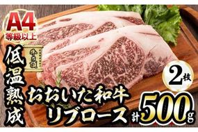 おおいた和牛 リブロースステーキ (計500g・リブロースステーキ約250ｇ×2枚+ステーキソース20g×2袋) 国産 牛肉 肉 霜降り 低温熟成 ステーキ A4 和牛 ブランド牛 BBQ 冷凍 大分県 佐伯市【DH69】【(株)ネクサ】