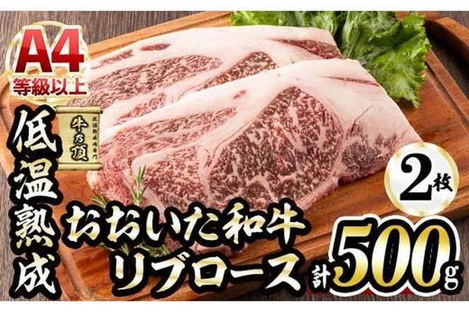 y啪sza u[XXe[L (v500gEu[XXe[L250×2+Xe[L\[X20g×2) Y   ~ ቷn Xe[L A4 a uh BBQ Ⓚ 啪 syDH69zy()lNTz