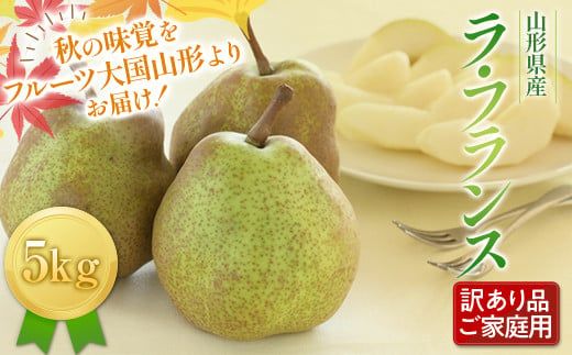 yR`쒬zFYN9-598 s2025Ns\tƒp R`Ym tX5kg 2025N11{珇 m mȂ tX Hʎ ʕ  t[c 󂠂 _Ǝ _ x  ƒ Yn R` 쒬 R