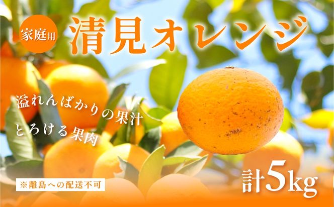 【先行予約】【家庭用】清見オレンジ計5kg ※離島への配送不可（2027年3月上旬頃より順次発送予定）IKTAC007