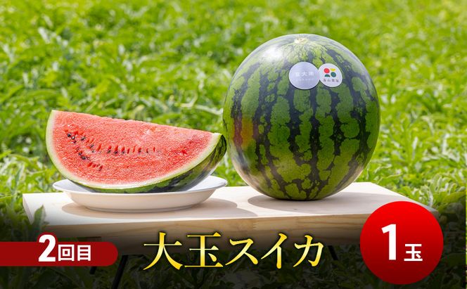 【7・8月 夏の果物 定期便 全2回】2026年夏発送 メロン×1玉 約2kg 大玉スイカ(Lサイズ) 夏大地×1玉 北海道 富良野産 すいか 西瓜 メロン 夏 フルーツ ふらの 甘い 糖度 大玉 ギフト (畠山農園）