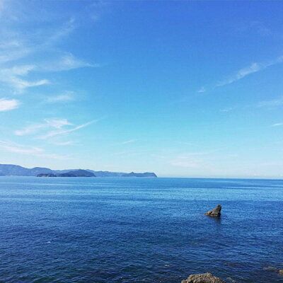 C6037n_まるとも海産【冷凍】茹でたて 釜揚げしらす 1kg 箱入り 紀州湯浅湾 直送！