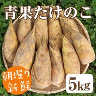 ＜先行予約受付中！2027年2月下旬以降順次発送予定＞ 【平日着】朝堀り青果たけのこ(約5kg) 国産 新鮮 タケノコ 青果 竹の子 筍 野菜 春 旬 期間限定 数量限定 【上野食品】akn008-20-A