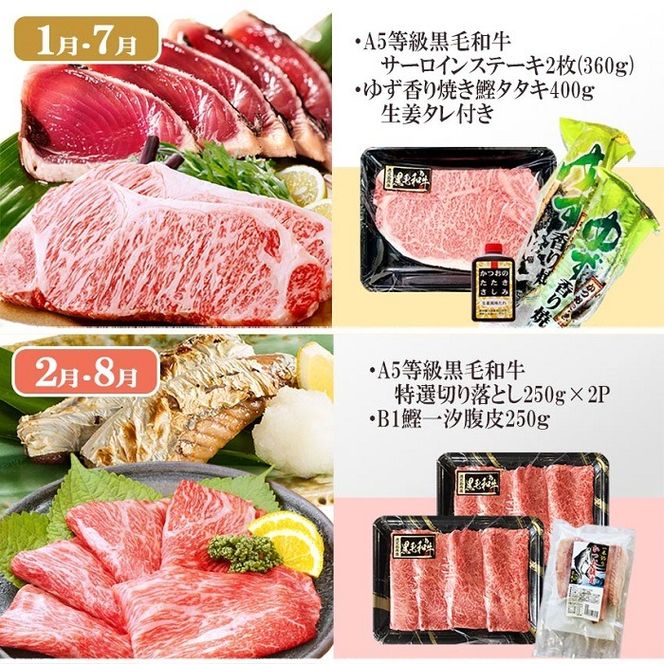 定期便(6回)枕崎お楽しみ便(黒毛和牛・まぐろ・かつおetc) GG-0046 【1166768】