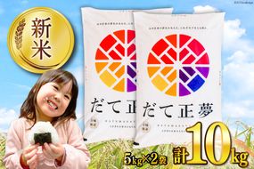 【CF01】米 宮城県産 だて正夢 10kg (5kg×2袋) [気仙沼米穀商業協同組合 宮城県 気仙沼市 20564672] 一等米 ブランド米 白米 精米 ご飯 ごはん コメ こめ 小分け 家庭用