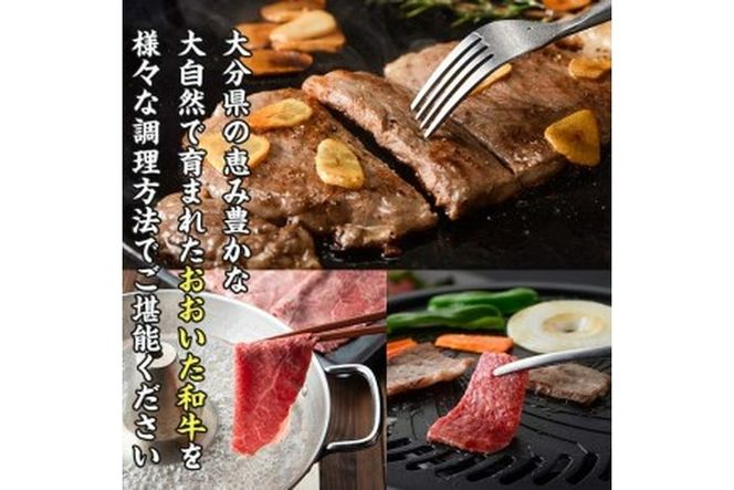 おおいた 和牛 3種 セット (合計1.66kg・サーロインステーキ180g×2枚・ウデ肉700g・焼肉300g×2P) 国産 豊後牛 BBQ 赤身 バーベキュー 惣菜 やきにく おかず 百年の恵み 【BD186】【西日本畜産 (株)】