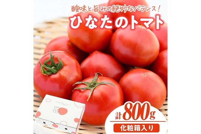 ＜先行予約受付中！2027年1～5月の間に発送予定＞門川ひなたのトマト(800g×1箱) 高糖度 トマト フルーツトマト 野菜 旬野菜 冷蔵 門川町産 宮崎県 門川町 【宮崎県農業協同組合日向地区本部(門川選果場)】【TM-01】