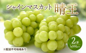 ぶどう 2026年 先行予約 シャイン マスカット 晴王  2房 （1房550g以上） マスカット ブドウ 葡萄  岡山県産 国産 フルーツ 果物 ギフト 桃茂実苑
