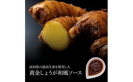 【CF-R7hbk】CDM014　 食べ比べ！天日塩ハンバーグ3種セット各1個(110g×3種) 合計3個 ハンバーグ 黒毛和牛 美鮮豚 天然塩 天日塩 デミグラスソース 和風ソース ソース付き 牛肉 豚肉 温めるだけ 冷凍 配送 国産 故郷納税 