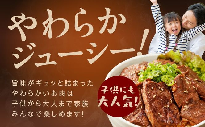 015B561 【総量1.26kg以上】ハラミ好きに贈る!ハラミだけの満足焼肉セット