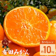 特選 有田みかん 和歌山 S～Lサイズ 大きさお任せ 約10kg_DZ6231