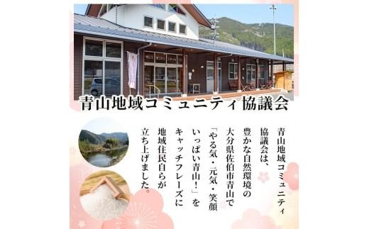 あまざけ 詰め合わせ (計2本) 甘酒 あまざけ 米麹 国産 麹 発酵食品 ホット アイス 甘味 健康 美容 ノンアルコール 数量限定 【HV001】【青山地域コミュニティ協議会】