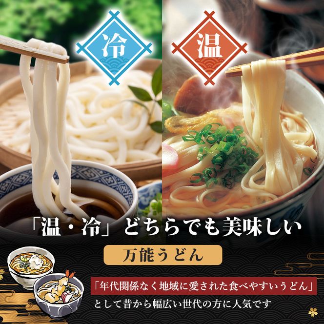 のど越しの良い象潟うどん定期便（5束×6ヵ月） 18000円 乾麺 麺類 6ヶ月 6回 