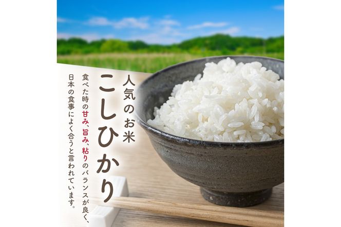 旬の野菜 5～8種詰め合わせと京都・京丹後産コシヒカリ2kgセット 国産 新鮮 お試し おまかせ お楽しみ　京野菜　朝採れ 季節の野菜 食品 お取り寄せ　お米 ごはん ご飯 こしひかり おにぎり 白米 ふるさと納税 米　TO00132