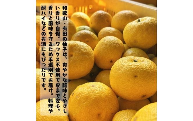 【先行予約】【国産】紀州和歌山のご家庭用訳あり 柚子（ゆず）2kg+200g(傷み補償分) ※2026年10月下旬～2027年1月下旬頃に順次発送予定 ※着日指定不可　【ard078A】