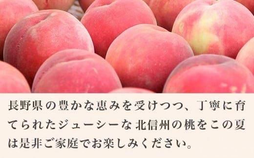 あかつき 約3kg 7～12玉 ［小布施屋］ 桃 もも モモ フルーツ 果物 令和8年産 【2026年7月末頃～8月上旬発送】