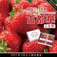 朝採り 完熟 3月より順次発送奈良県特産 朝採り高級ブランドいちご「古都華」 // いちご イチゴ 古都華 フルーツ 果物 旬 限定  ブランド 朝採り 完熟 いちご ことか イチゴ 先行予約 古都華 数量限定 古都華 甘い 先行受付 予約