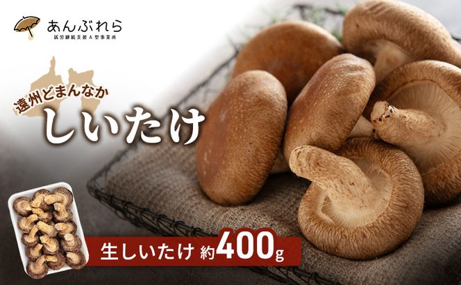 遠州どまんなかしいたけ】 生しいたけ 約400g 椎茸 産地直送 国産 料理