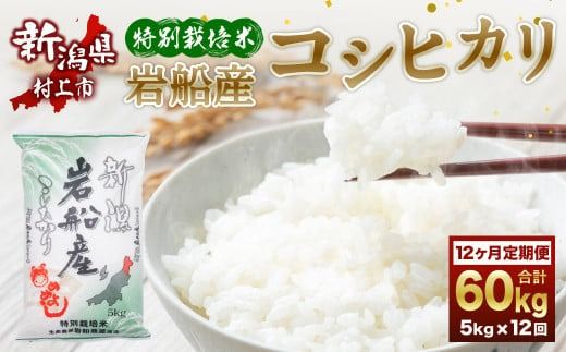 【令和7年産米】特別栽培米 新潟県岩船産 コシヒカリ 60kg（5kg×12ヶ月コース） 定期便  毎月 お米  白米 こしひかり 精米 村上市 1013013