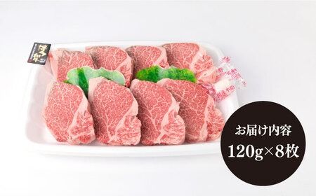 【厚切ヒレステーキ】120g×8枚 A4ランク 博多和牛 糸島 【糸島ミートデリ工房】[ACA046] ステーキ ヒレ ヒレ肉 フィレ ヘレ 牛肉 赤身 黒毛和牛 国産