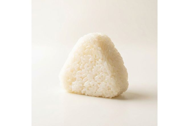【ふるプレ限定品】【特別寄附額】丹後のコシヒカリと塩だけでつくる 塩むすび −40℃急速冷凍 レンジ3分　TU00008P