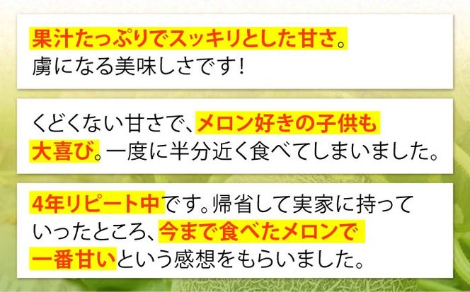 【2026年6月中旬～発送】肥後 グリーンメロン 大玉 2玉 (合計4kg以上！) / メロン めろん フルーツ 果物 / 南島原市 / 長崎県農産品流通合同会社 [SCB063]