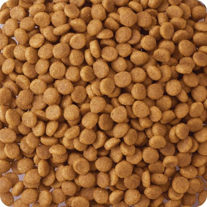 ビタワン 国産チキンのレシピ 成犬用 1.5kg ケース販売 ペットフード 犬 愛犬 ペット ペット用品 犬用 愛犬用 ごはん 静岡 袋井市