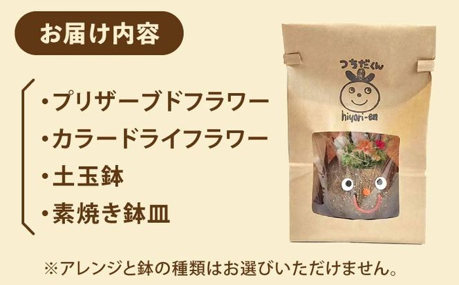 プリザーブドFLOWER つちだくん 赤ピンク系 プリザーブドフラワー 造花 インテリア 愛西市 / 花のひより園[AEAX004]