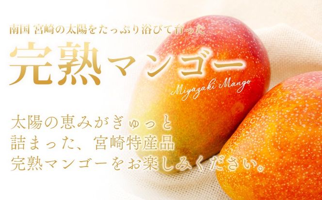 ＜宮崎県産 完熟マンゴー 2L 合計2玉＞入金確認後、2025年7月初旬迄に順次出荷【選べる 大きさ サイズ 国産 かんじゅく とろける 果物 果実 フルーツ 南国 芳醇 甘い 旬 濃厚 贈り物 プレゼント（株）ワールドワイドトレード 宮崎県 国富町】【b0954_ww】