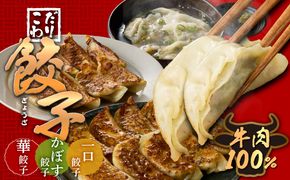 【A07006】華永餃子セットA（華×1、一口×1、かぼす×1） 計54個