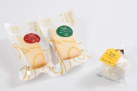 『ミルン牧場のフレッシュなモッツアレラ＆熟成チーズ』のセット100g×計5個(H102120)