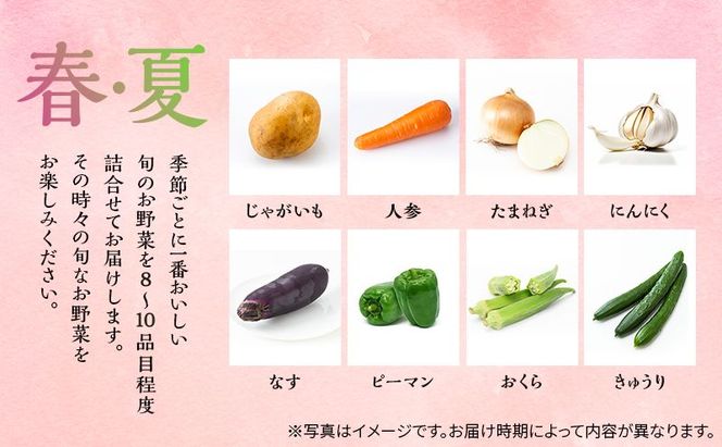季節の野菜 8～10品目 セット 栽培期間中 無農薬 化学肥料不使用 旬 野菜 岡山