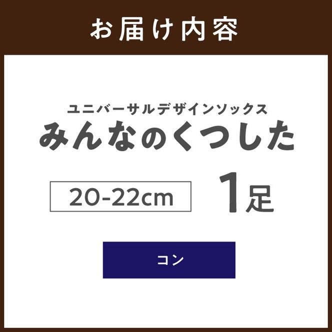 みんなのくつした 1足(20-22cm)【コン】《 くつした 靴下 ソックス 加古川市 送料無料 》【2500T16801_02】